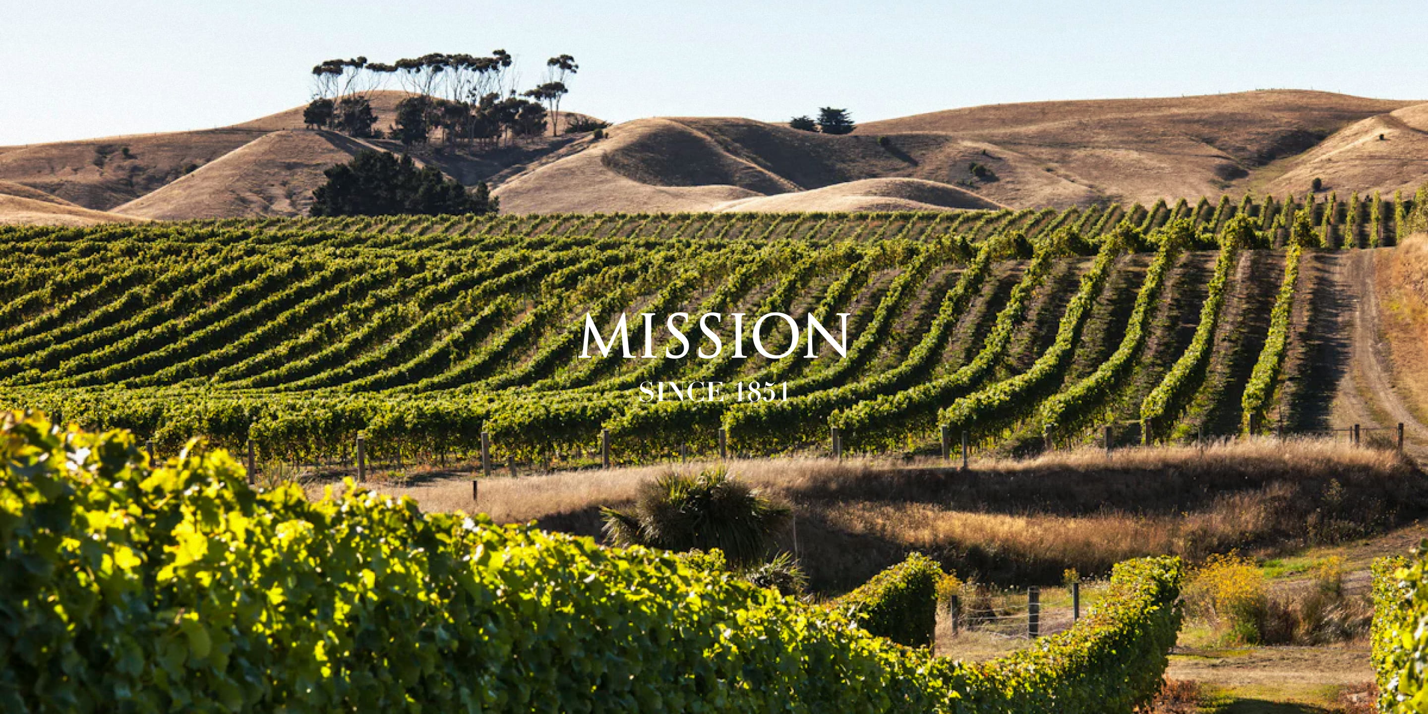 Mission Estate project visual 8