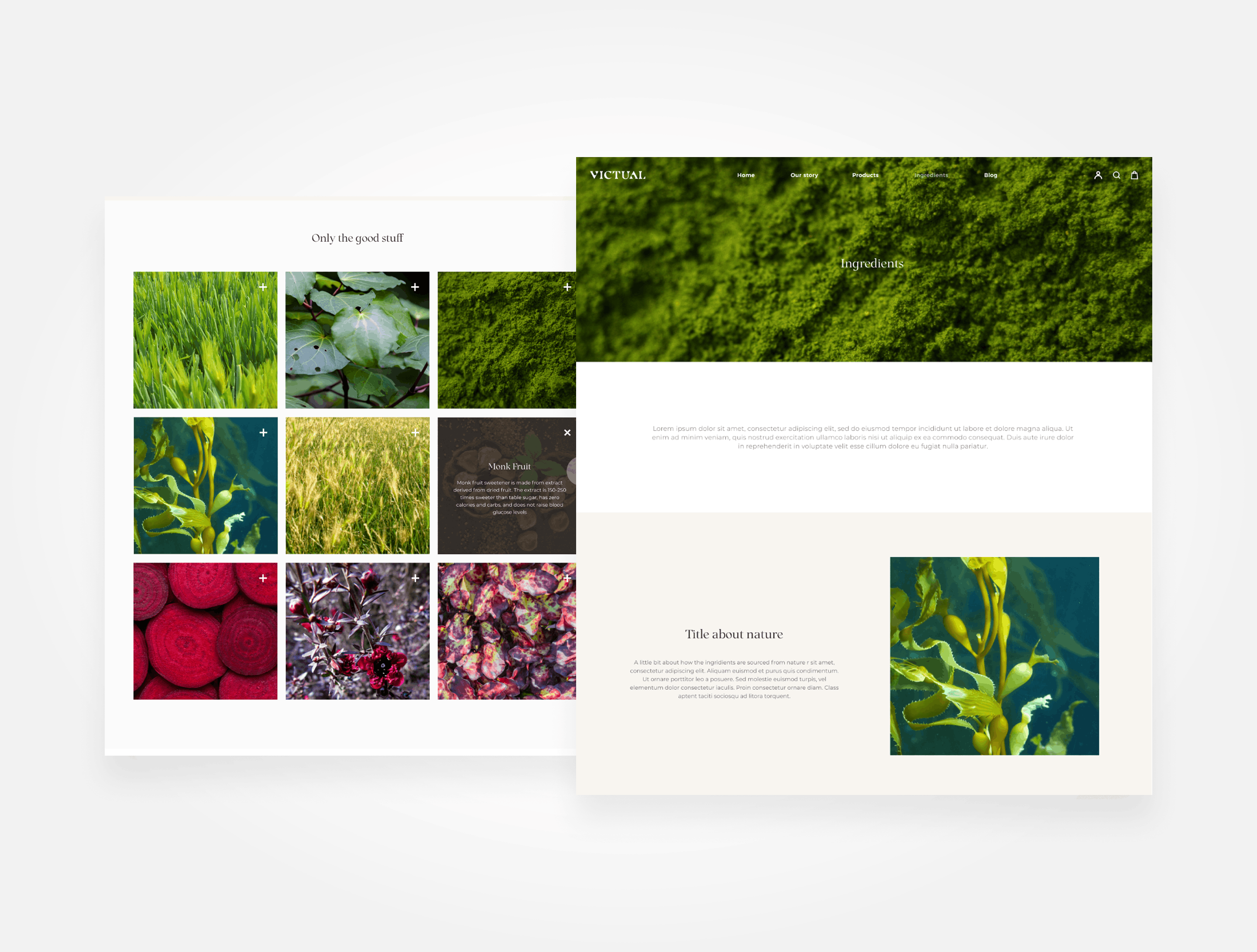 Viktual+ project visual 9